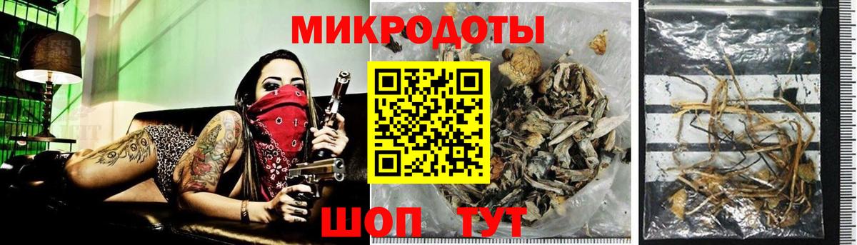 Галлюциногенные грибы прущие грибы  Вход с VPN  Вязьма  Галлюциногенные грибы мухоморы 